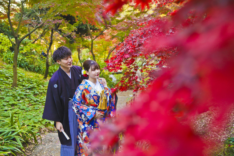 紅葉と