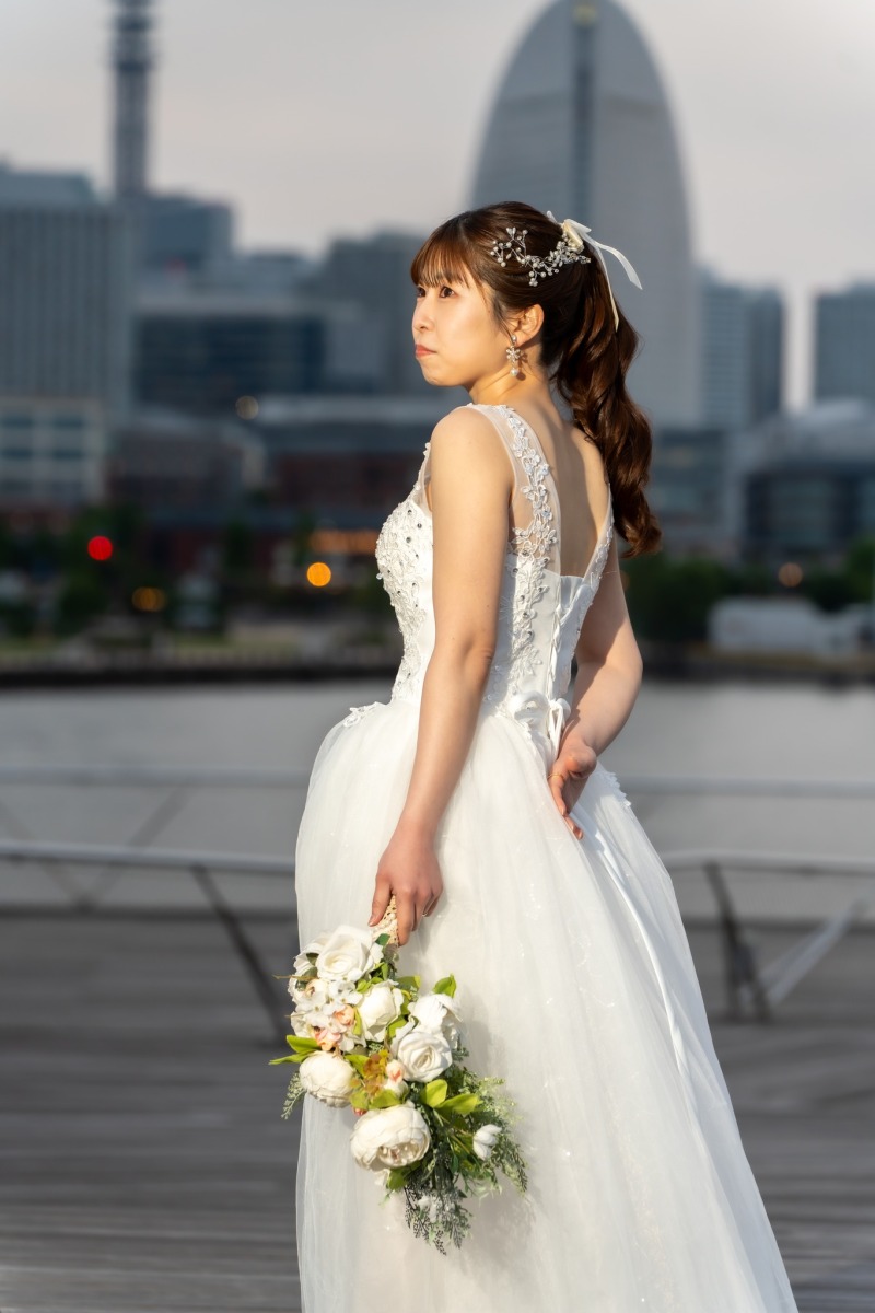 ランドマーク望むドレス姿