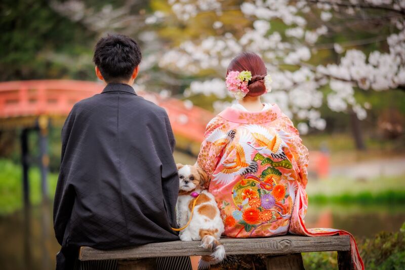 わんちゃんだけ振り返るキュートなワンカット