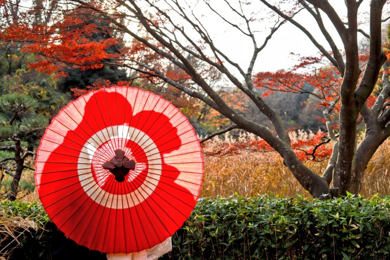 和傘で彩る秋