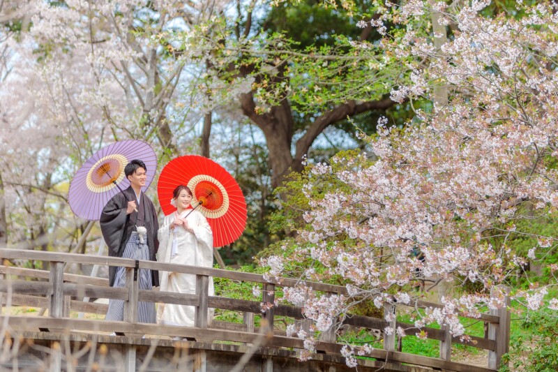 橋×和傘×桜