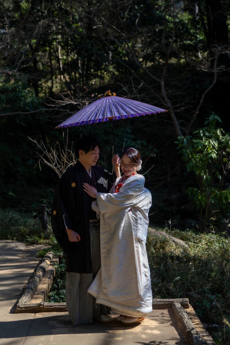 紫の番傘が彩る和の風情