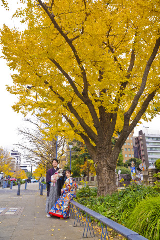 犬と一緒に日本大通り周辺の和装散歩ロケ撮影も素敵です★