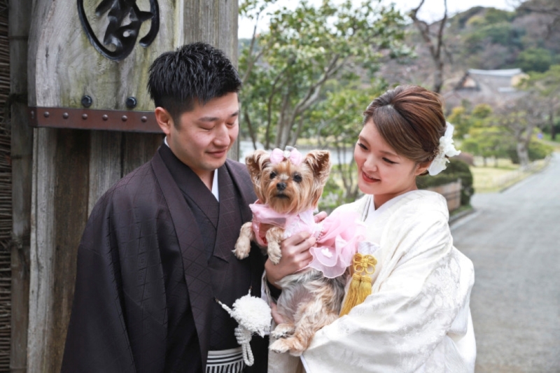 大切な家族！ワンちゃんと