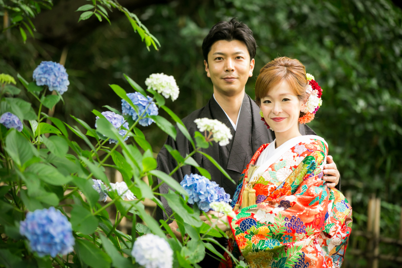 日本庭園×アジサイ