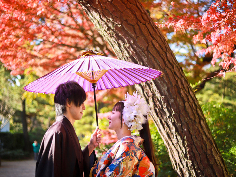 紅葉と