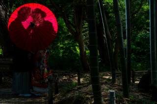 和装ロケ☆日本庭園
