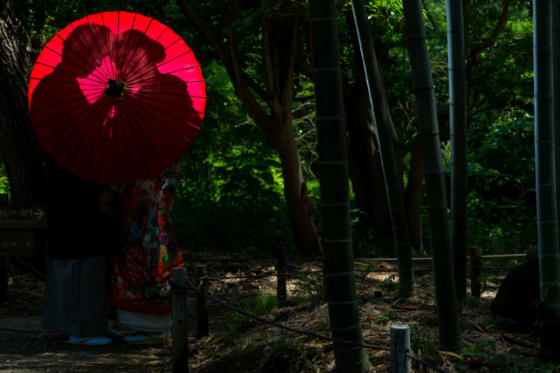 和装ロケ☆日本庭園