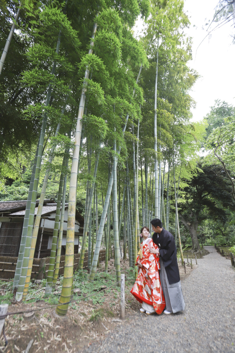 竹林で