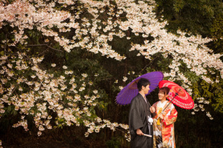 和装ロケ☆庭園