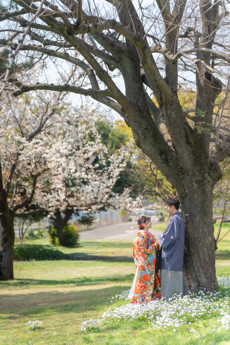 桜と大樹に見守られて