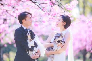 春感じる桜×愛犬×洋装ロケ