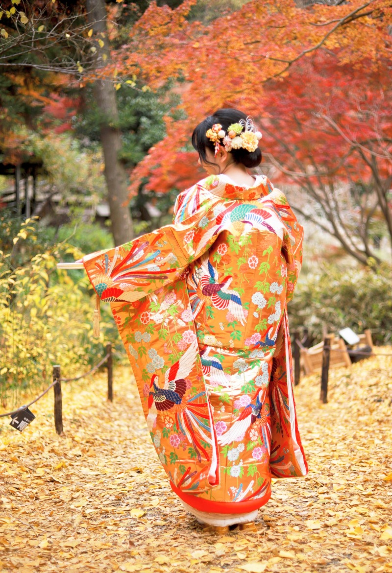 **色打掛 の華、 クラシカル な後ろ姿