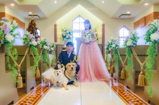 愛犬とチャペルでのフォトウエディング（白ドレス＆色ドレス）