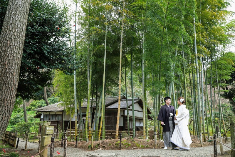 竹林に佇む和の美しい姿