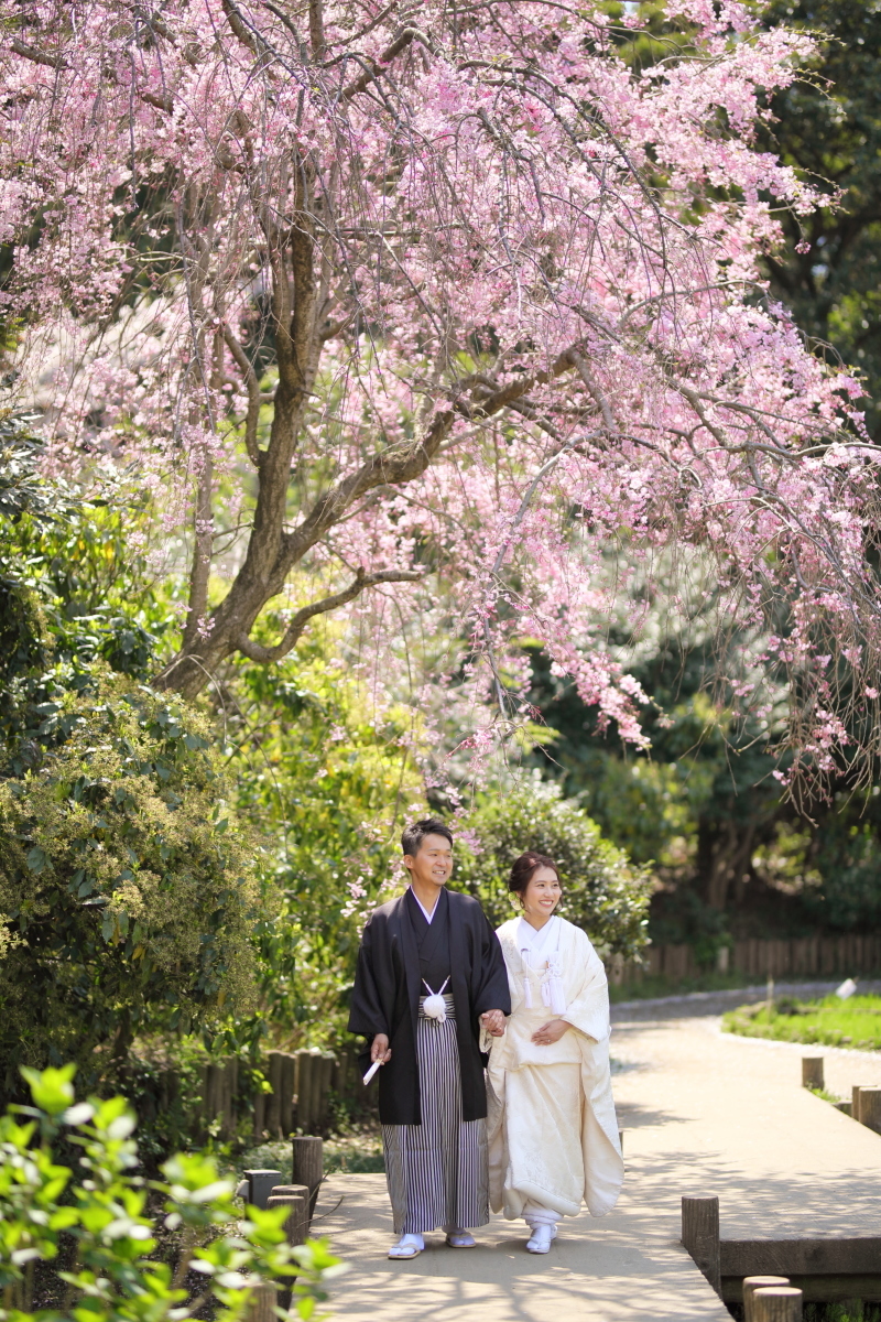 桜のトンネルをお散歩
