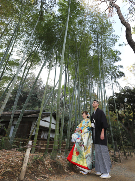 竹林で