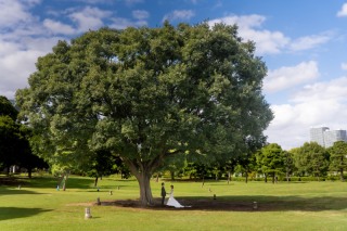和装はしっとりとスタジオで、洋装は快晴の空のした屋外ロケ撮影
