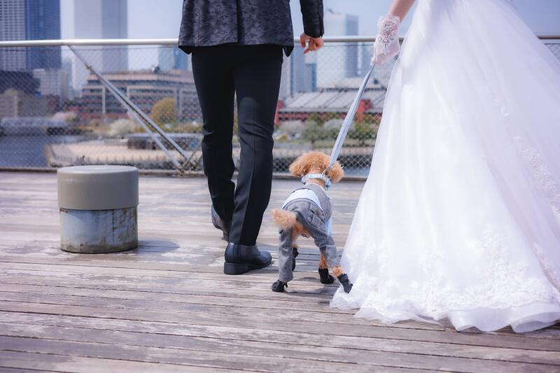 *愛犬と一緒にお散歩ショット