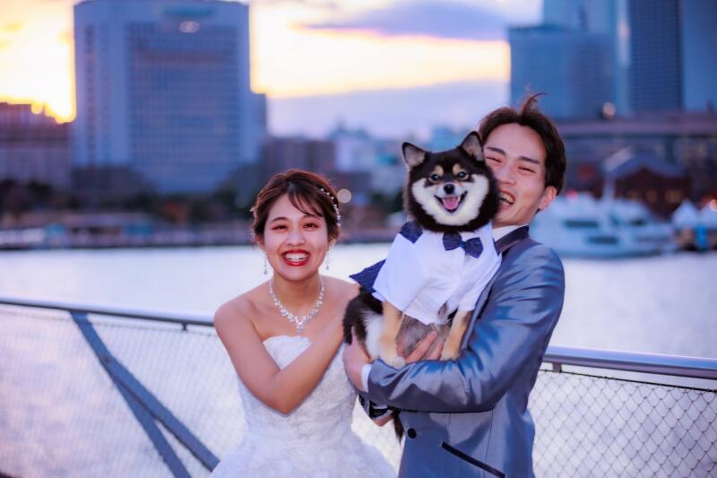 愛犬と一緒に夕暮れ~夜の大桟橋ウエディングフォト