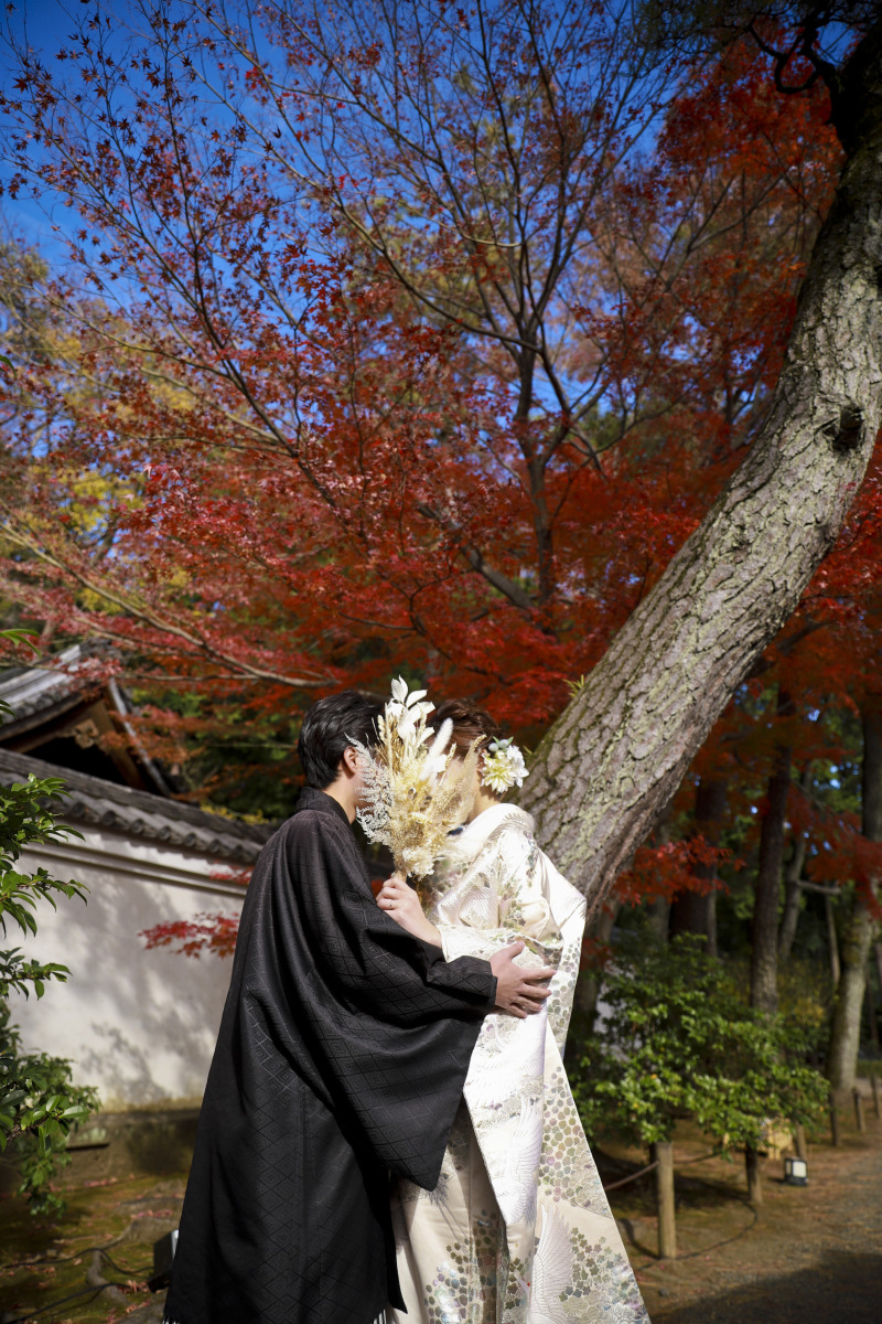 紅葉と