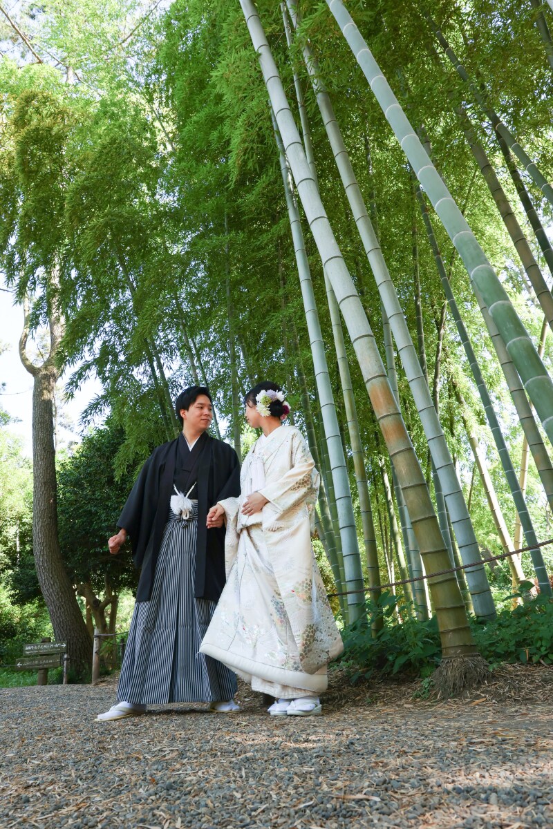 竹林でのロマンチック****ショット