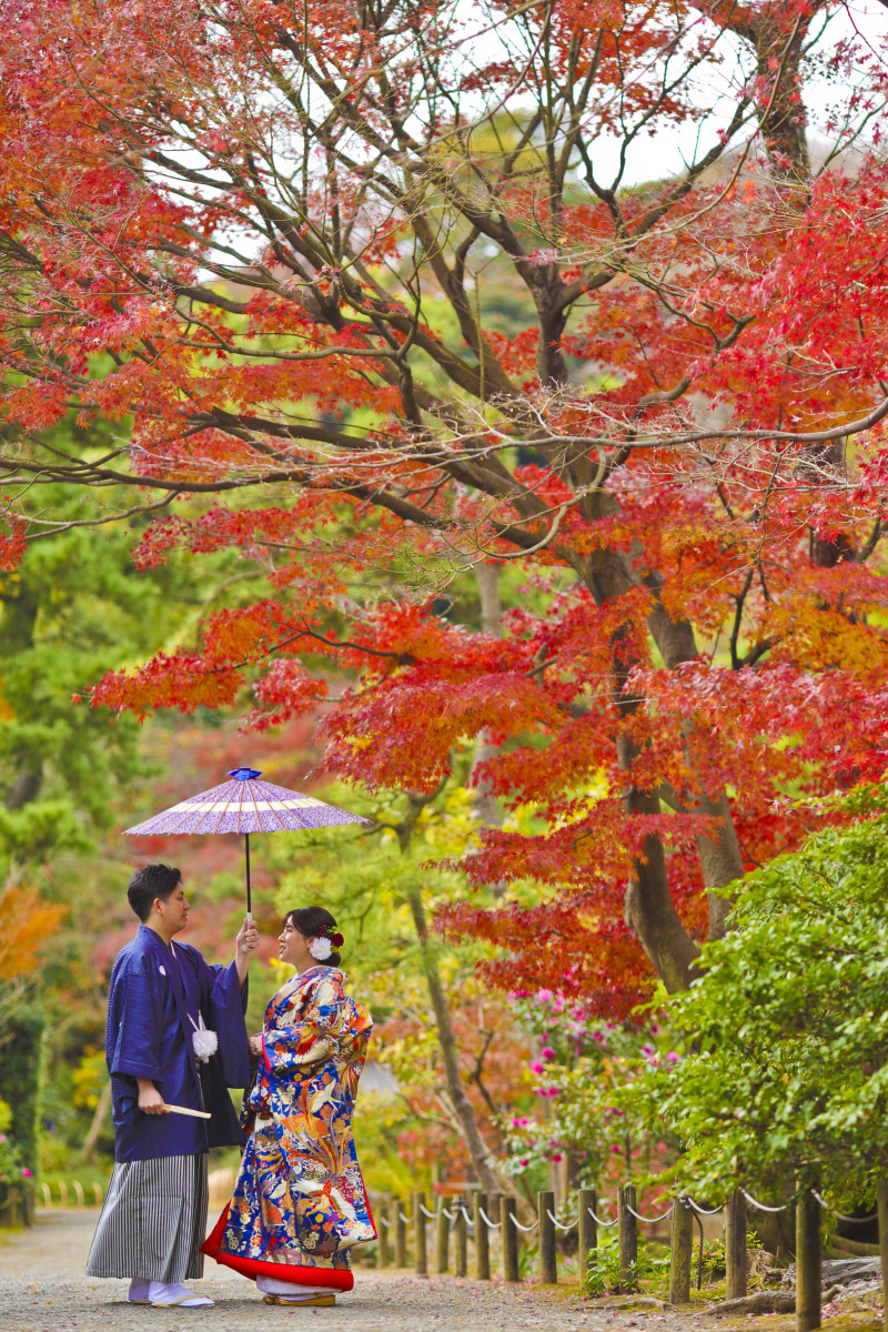 紅葉と