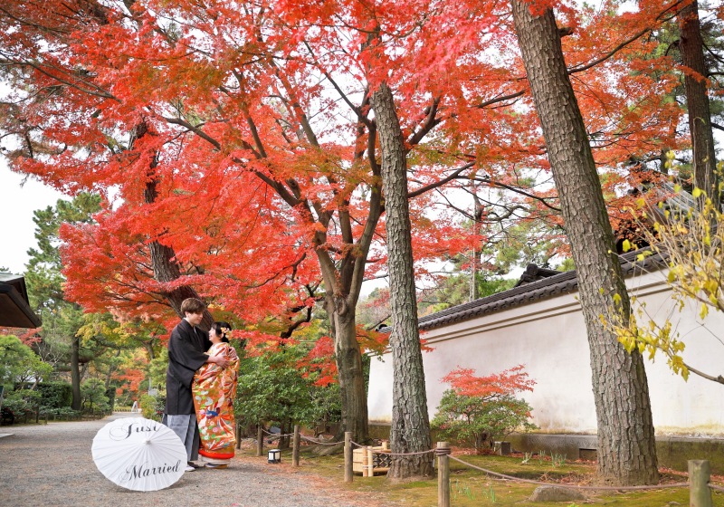 紅葉の炎、 ドラマチック な立ち姿