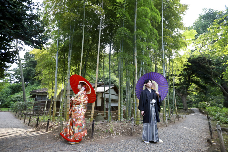 竹林で