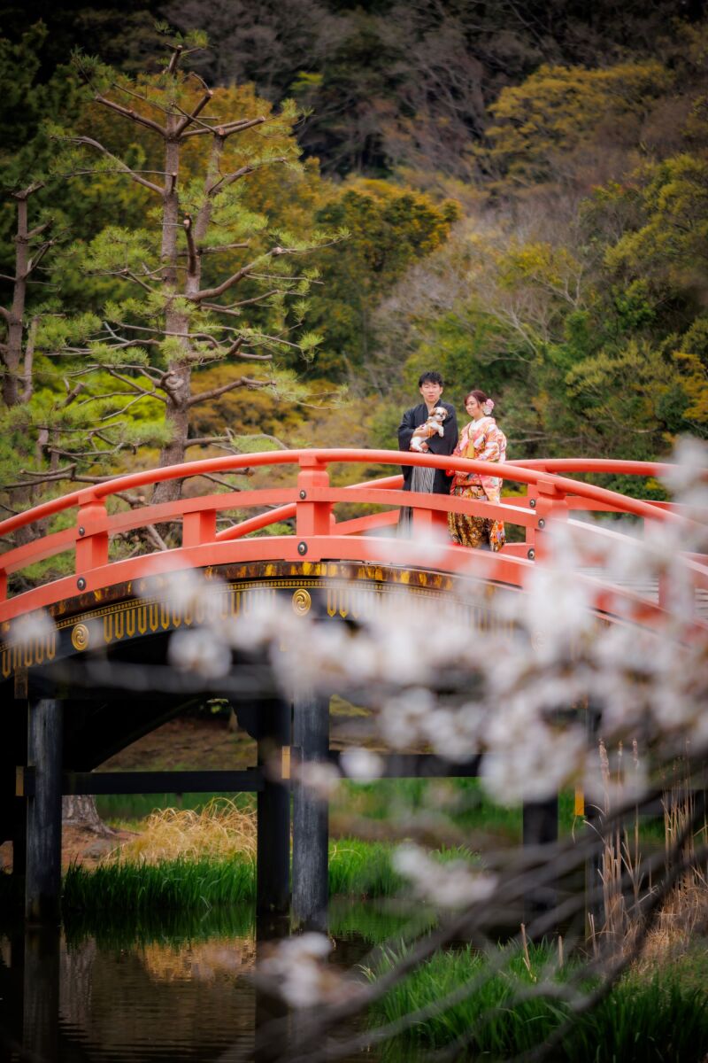 赤い橋と桜の組み合わせが素敵なカット