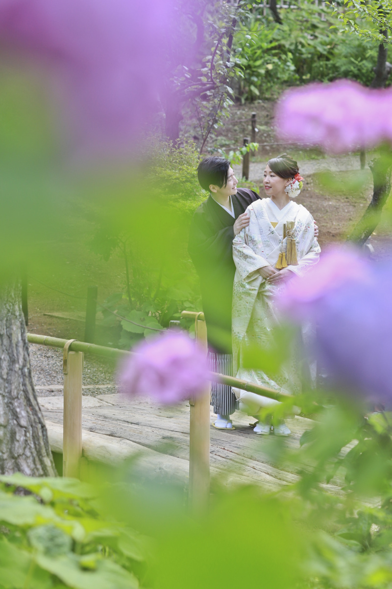 紫陽花に包まれ橋で寄り添う二人