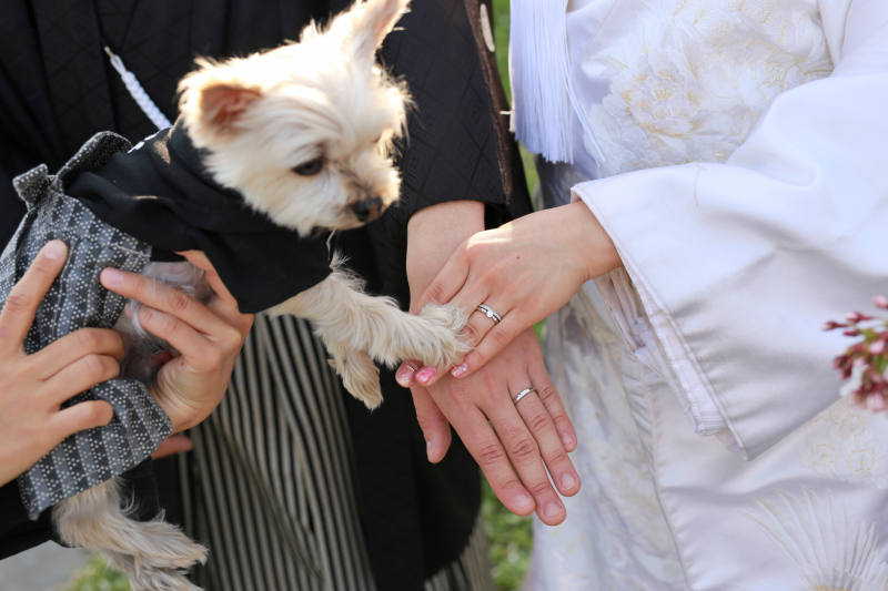 Asect横浜店_ペットと一緒に撮影できる