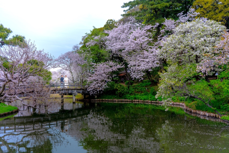 人気の桜・新緑・紅葉枠の庭園ロケもご提案いたします