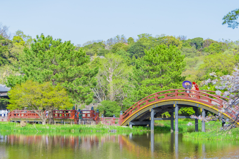 Asect横浜店_神社・寺院で撮影できる