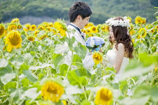 Asect横浜店_【洋】海岸（逗子・一色・七里ヶ浜・森戸・城ヶ島）・ひまわり畑
