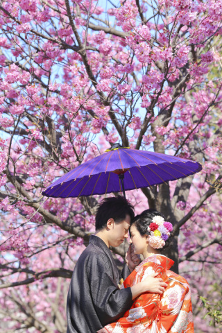 Asect横浜店_【和＆洋】山下公園・根岸森林公園・本牧山頂公園・横浜公園・汽車道