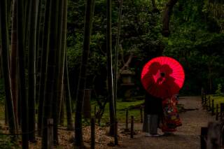 あえて暗めに設定して後ろからライティングして撮影した1枚