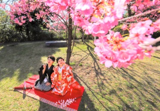 【庭園桜ロケ】3/24・3/25・3/30限定★和装全データ☆25％OFF☆演出ムービーやアルバムなど豪華10大特典付き