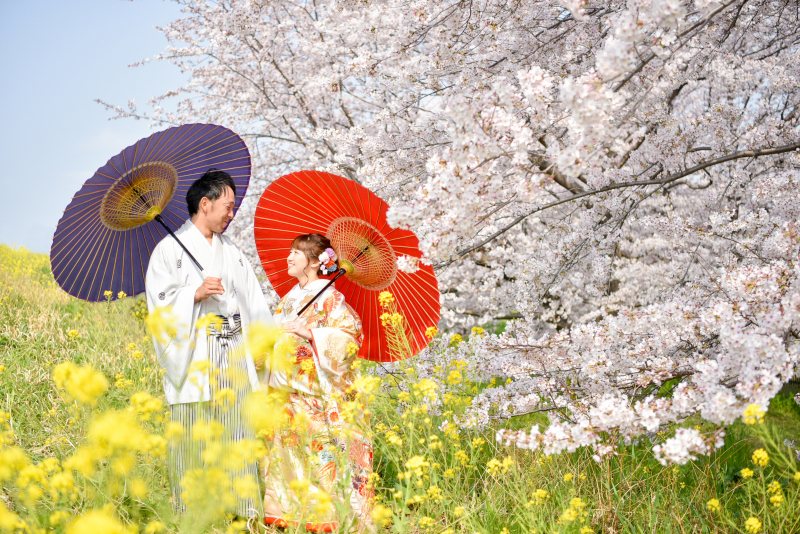 桜と菜の花と・・・