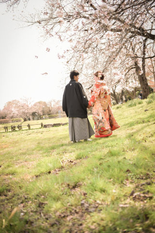 桜フォトスタート！！