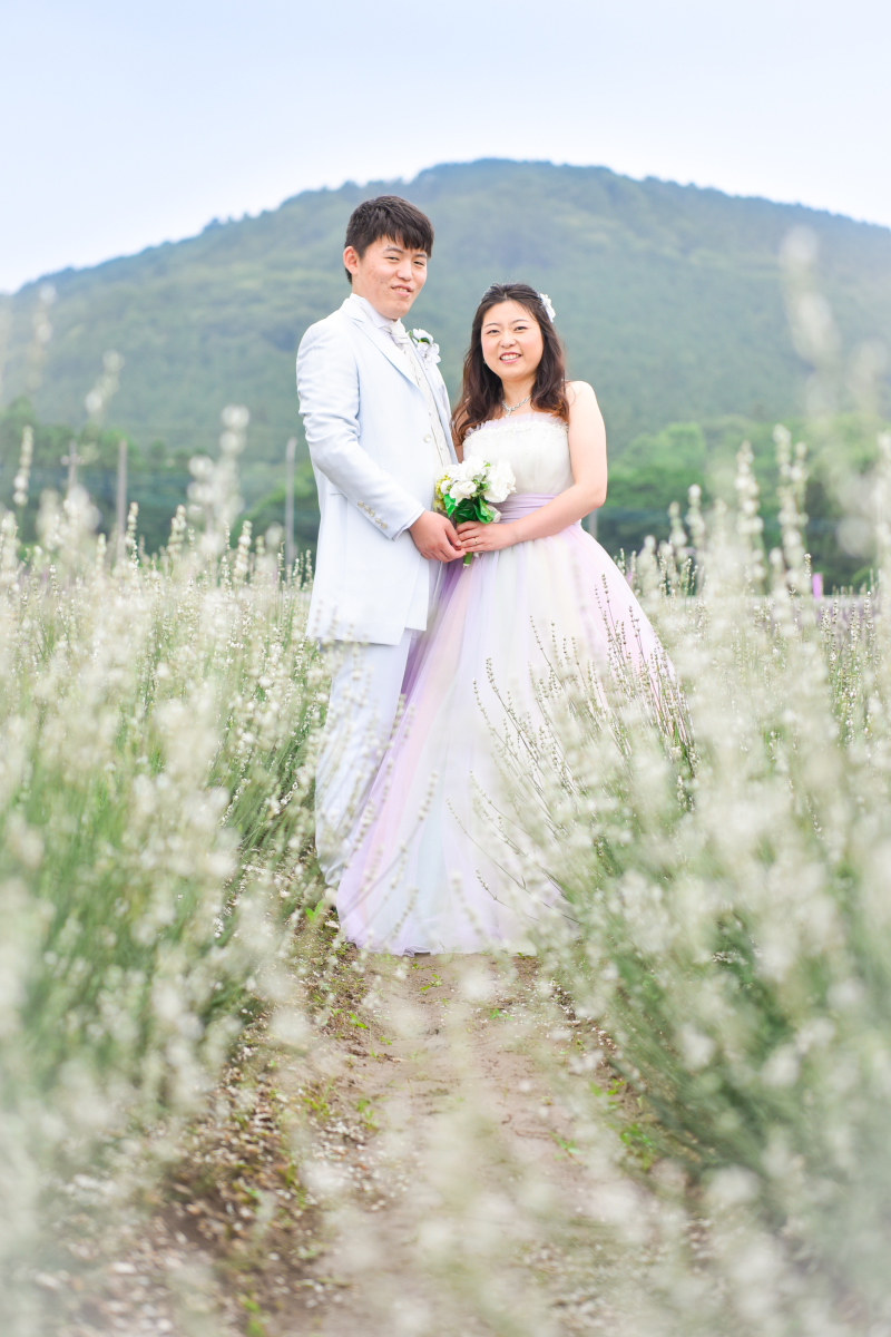 ホワイトラベンダー