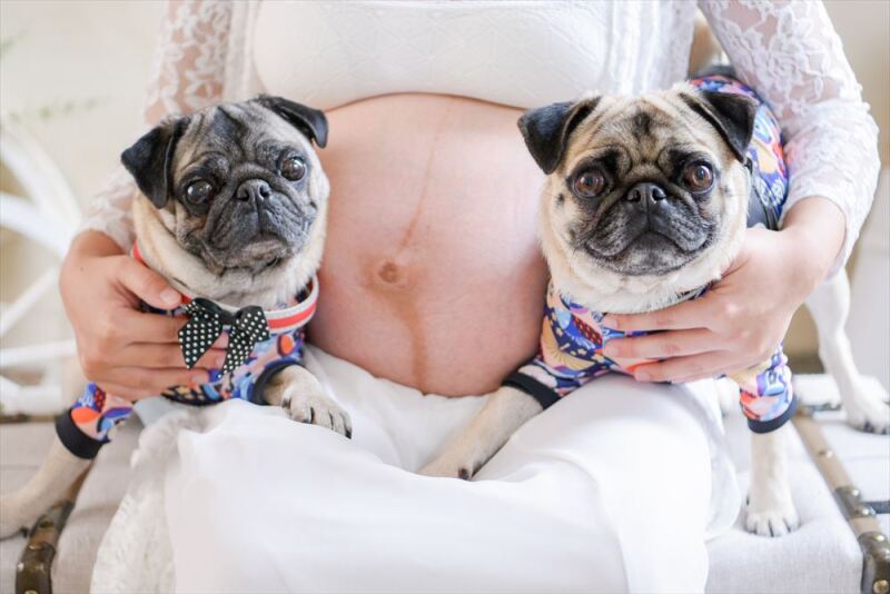 ペットとマタニティー撮影&hellip;♡