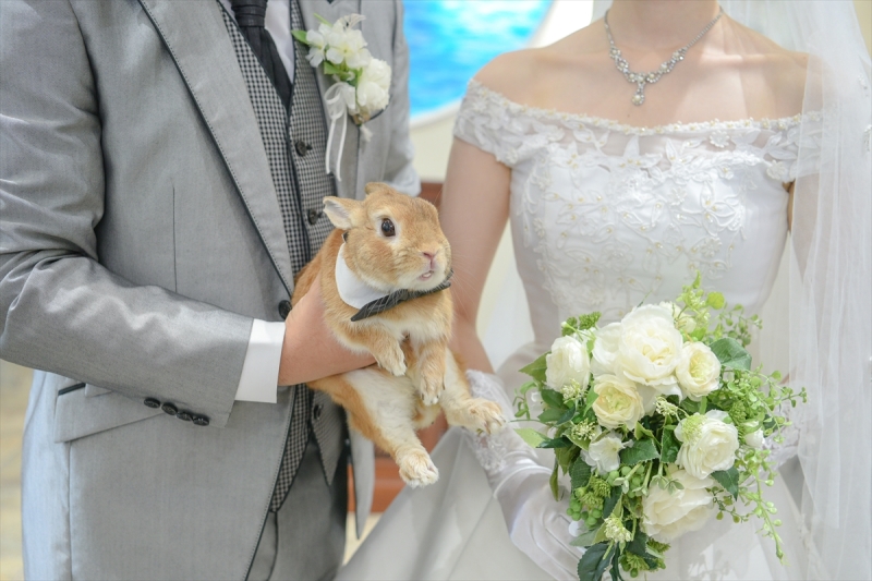 うさちゃんと一緒に・・・♡