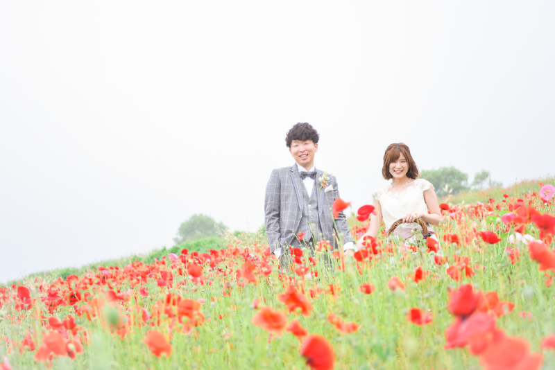 ポピー畑・・・