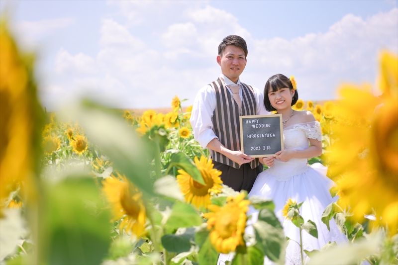今の季節限定☆ひまわりロケーションフォト