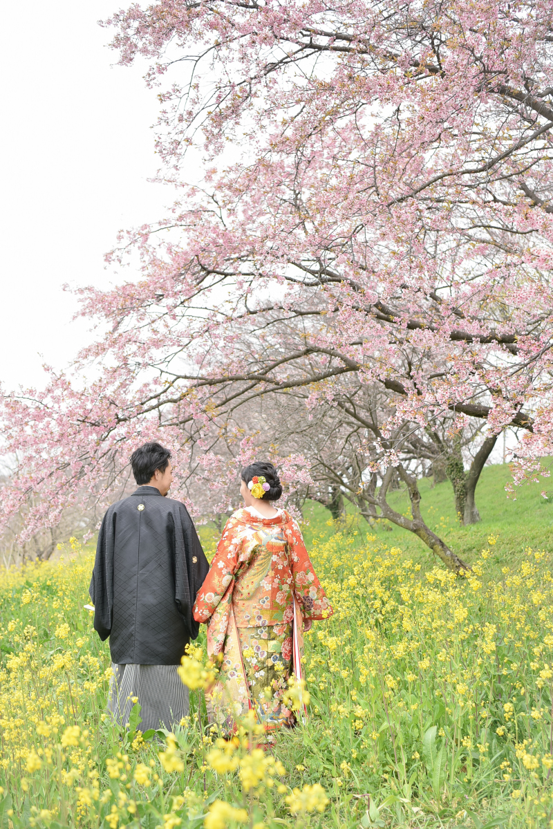 菜の花畑・・・