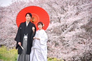 2023 桜ロケーション