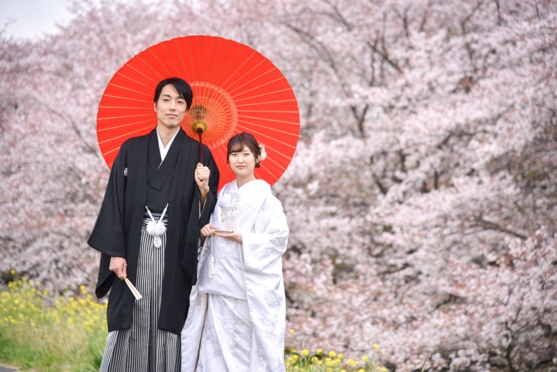 2023 桜ロケーション