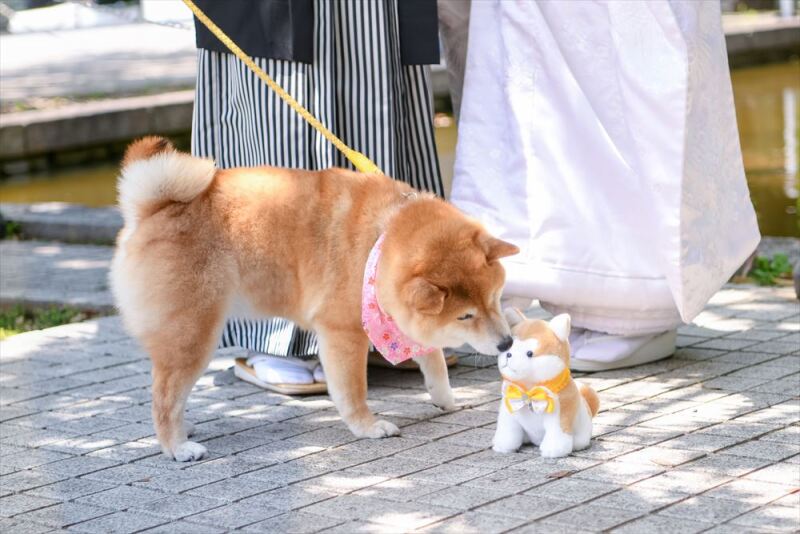これは私かな&hellip;♡