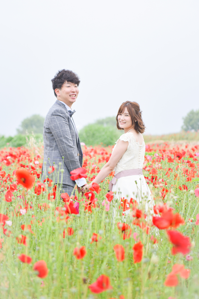 かわいい赤ポピー・・・